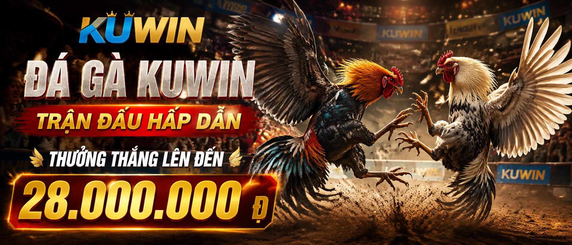 Đá Gà Hubet - hình ảnh trung tâm danh mục