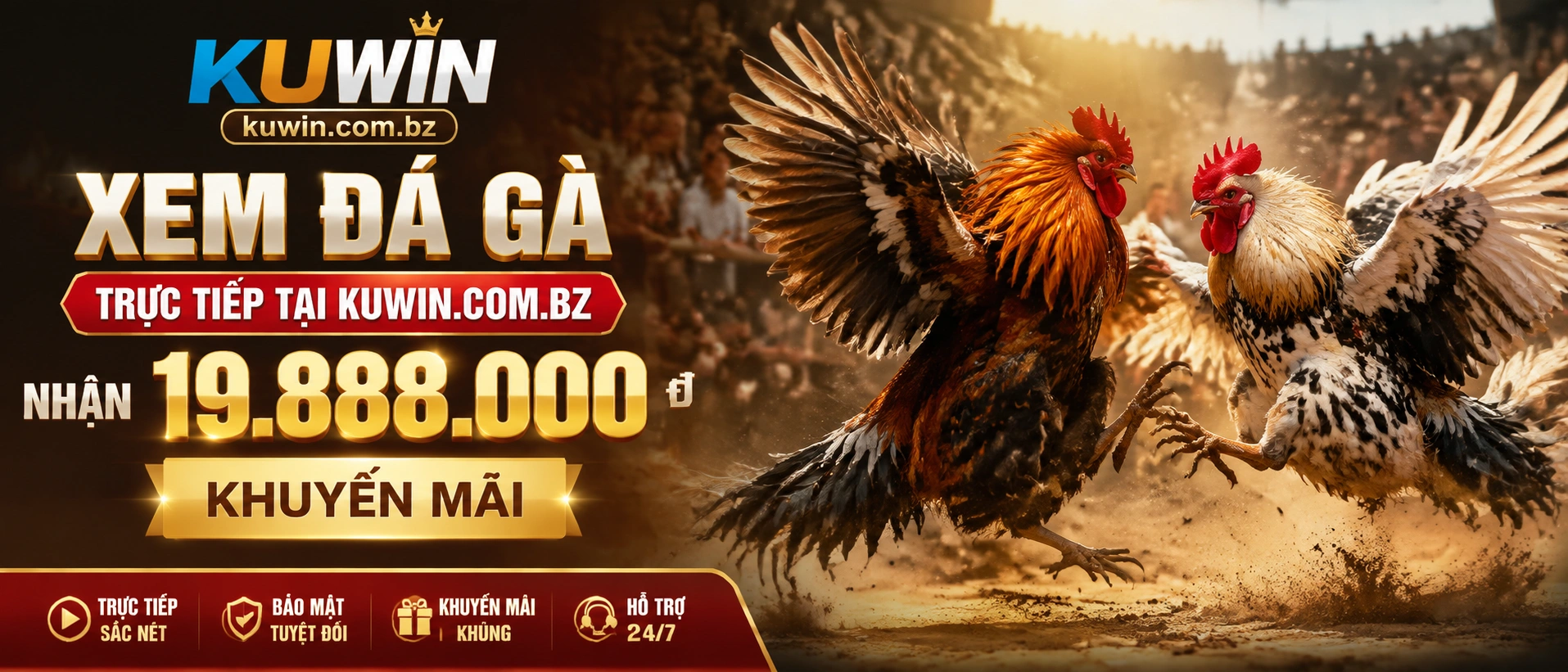 Đá Gà Thomo